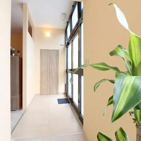 Apartment Apartman Mina Pula